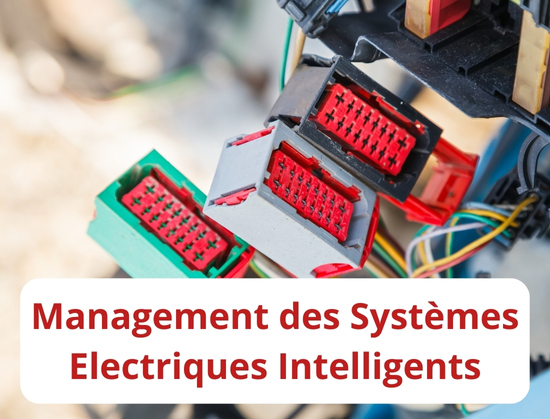 Management des Systèmes Electriques Intelligents